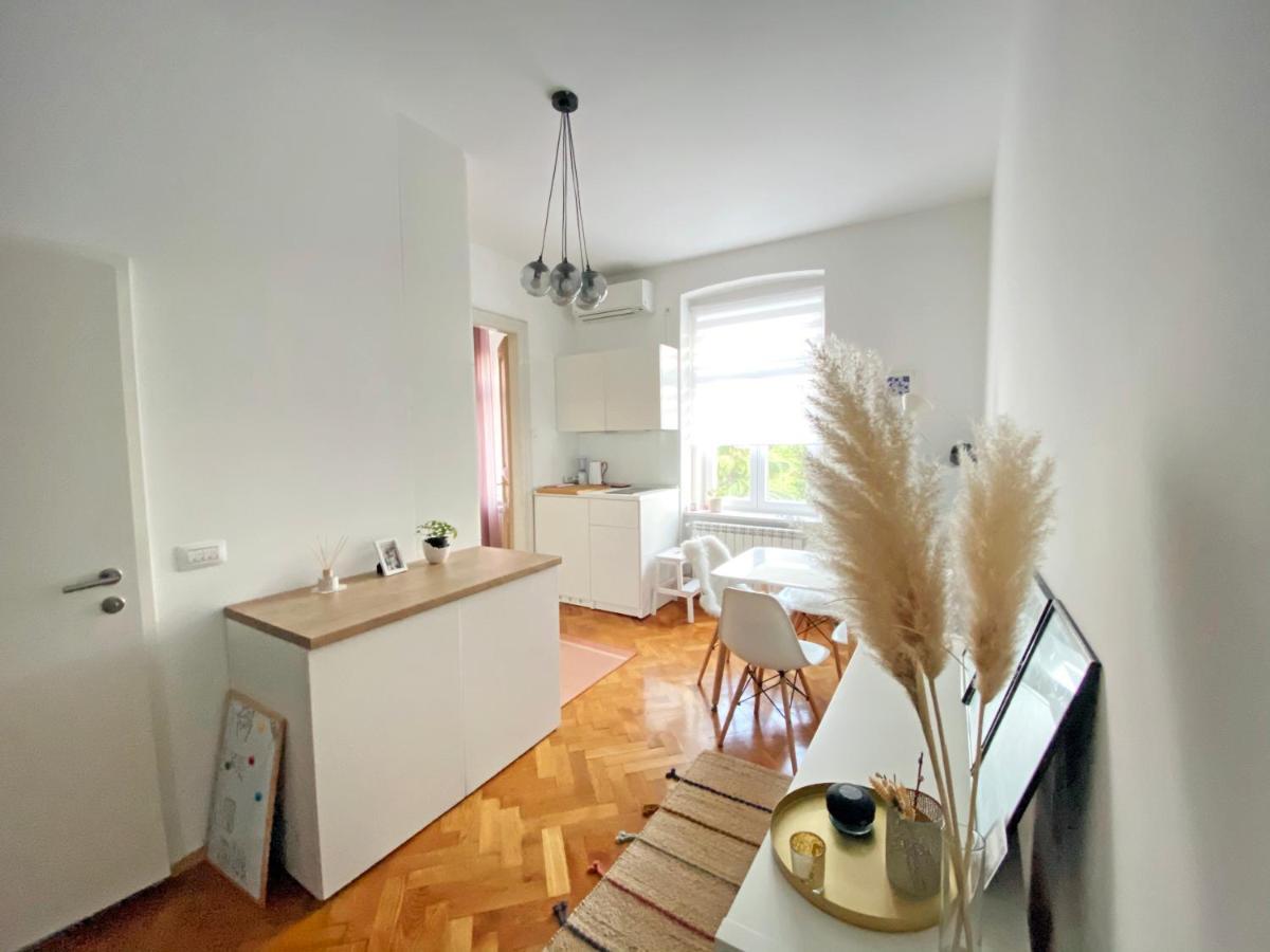 Bright Apartment 45M2 - Free Parking - Wifi Rijeka Exterior foto